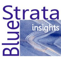 Blue Strata Insights logo, Blue Strata Insights contact details