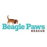 Beagle Paws logo, Beagle Paws contact details