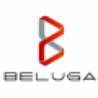 Beluga Integrated Business Corporation logo, Beluga Integrated Business Corporation contact details