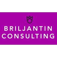 Briljantin Consulting logo, Briljantin Consulting contact details