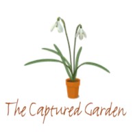 The Captured Garden logo, The Captured Garden contact details