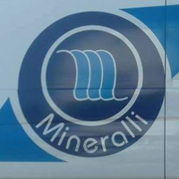 Mineralli Distribuidora logo, Mineralli Distribuidora contact details