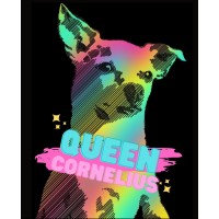 Queen Cornelius Entertainment logo, Queen Cornelius Entertainment contact details