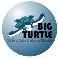 Big Turtle Influencers logo, Big Turtle Influencers contact details