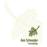 Ann Schneider Consulting logo, Ann Schneider Consulting contact details