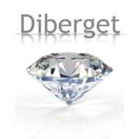 Diberget diamond trader and wholesale Antwerp logo, Diberget diamond trader and wholesale Antwerp contact details