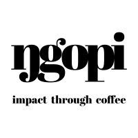 ngopi logo, ngopi contact details