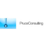 PruceConsulting logo, PruceConsulting contact details