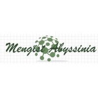 Mengist Abyssinia logo, Mengist Abyssinia contact details