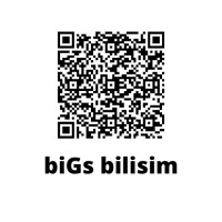 Bigs Bilişim Ltd. Şti. logo, Bigs Bilişim Ltd. Şti. contact details