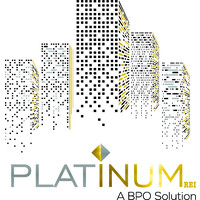 Platinum REI Solution logo, Platinum REI Solution contact details