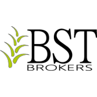 BST Brokers logo, BST Brokers contact details