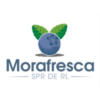 Morafresca SPR de RL logo, Morafresca SPR de RL contact details