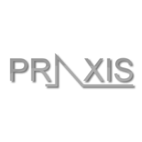 @Praxis Engineering 🤓 logo, @Praxis Engineering 🤓 contact details