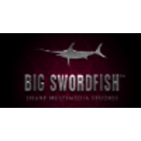 BIG SWORDFISH LLC logo, BIG SWORDFISH LLC contact details