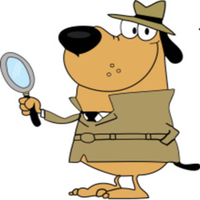 Hound Dog Home Inspections logo, Hound Dog Home Inspections contact details