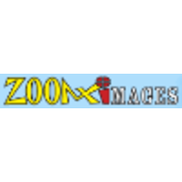 ZOOM X IMAGES logo, ZOOM X IMAGES contact details