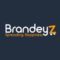 Brandeyz  Egypt logo, Brandeyz  Egypt contact details