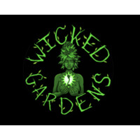 Wicked Wellness logo, Wicked Wellness contact details