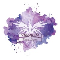 Valorem Virtual Finance logo, Valorem Virtual Finance contact details