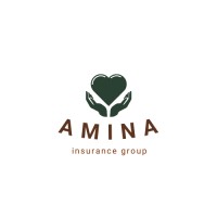 Amina Insurance Group logo, Amina Insurance Group contact details