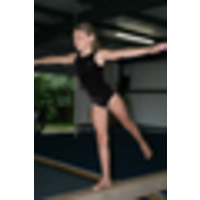 Flipzone Gymnastics Inc logo, Flipzone Gymnastics Inc contact details