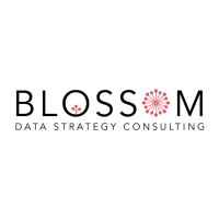 Blossom Data Strategy Consulting logo, Blossom Data Strategy Consulting contact details