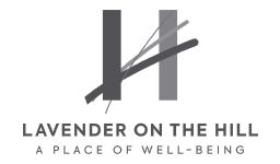 Lavender on the Hill logo, Lavender on the Hill contact details