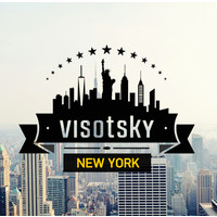 Visotsky Consulting New York logo, Visotsky Consulting New York contact details