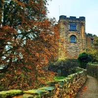 Tamworth Castle logo, Tamworth Castle contact details