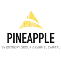 Pineapple Entropy Fund logo, Pineapple Entropy Fund contact details