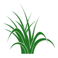 Meristem Agronomic Consulting logo, Meristem Agronomic Consulting contact details