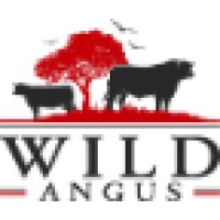 Wild Angus logo, Wild Angus contact details