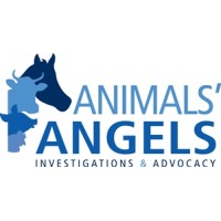 ANIMALS ANGELS INC. logo, ANIMALS ANGELS INC. contact details