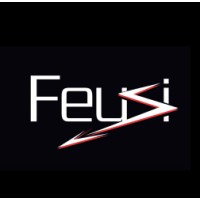 Feusi Electricity SA logo, Feusi Electricity SA contact details