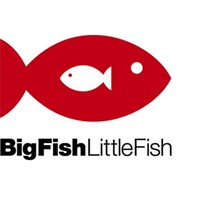 Big Fish Little Fish Recruitment logo, Big Fish Little Fish Recruitment contact details