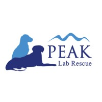 Peak Lab Rescue logo, Peak Lab Rescue contact details