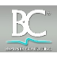 Brauner Consulting logo, Brauner Consulting contact details