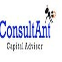 ConsultAnt Capital Advisor logo, ConsultAnt Capital Advisor contact details