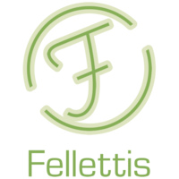 Fellettis - helping sales organisations to achieve top performance logo, Fellettis - helping sales organisations to achieve top performance contact details