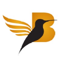 BrandBirds logo, BrandBirds contact details