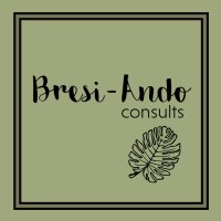 Bresi-Ando consults LLC logo, Bresi-Ando consults LLC contact details