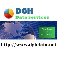 DGH Data Services logo, DGH Data Services contact details