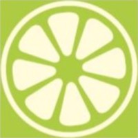 Lime Yellow - Wegwijs in ICT logo, Lime Yellow - Wegwijs in ICT contact details