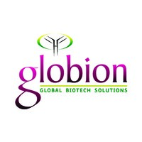 Globion India Pvt Ltd logo, Globion India Pvt Ltd contact details