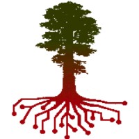 Redwood Research & Advisory logo, Redwood Research & Advisory contact details