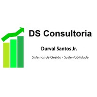 DS Consultoria logo, DS Consultoria contact details