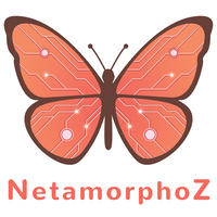 NetamorphoZ logo, NetamorphoZ contact details