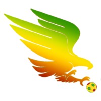 MALIFOOTBALL.COM logo, MALIFOOTBALL.COM contact details