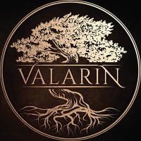 Valarin Inc logo, Valarin Inc contact details